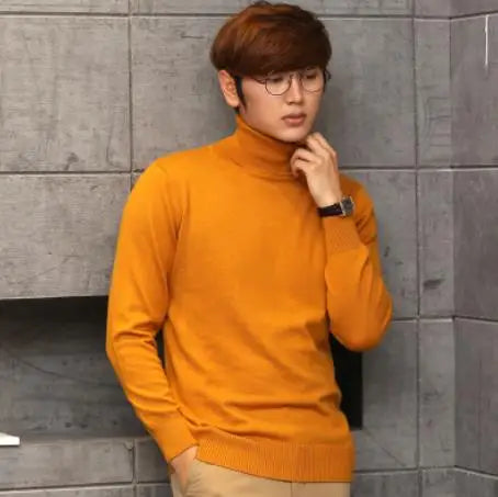 Soft Cashmere Feel Turtleneck – Men